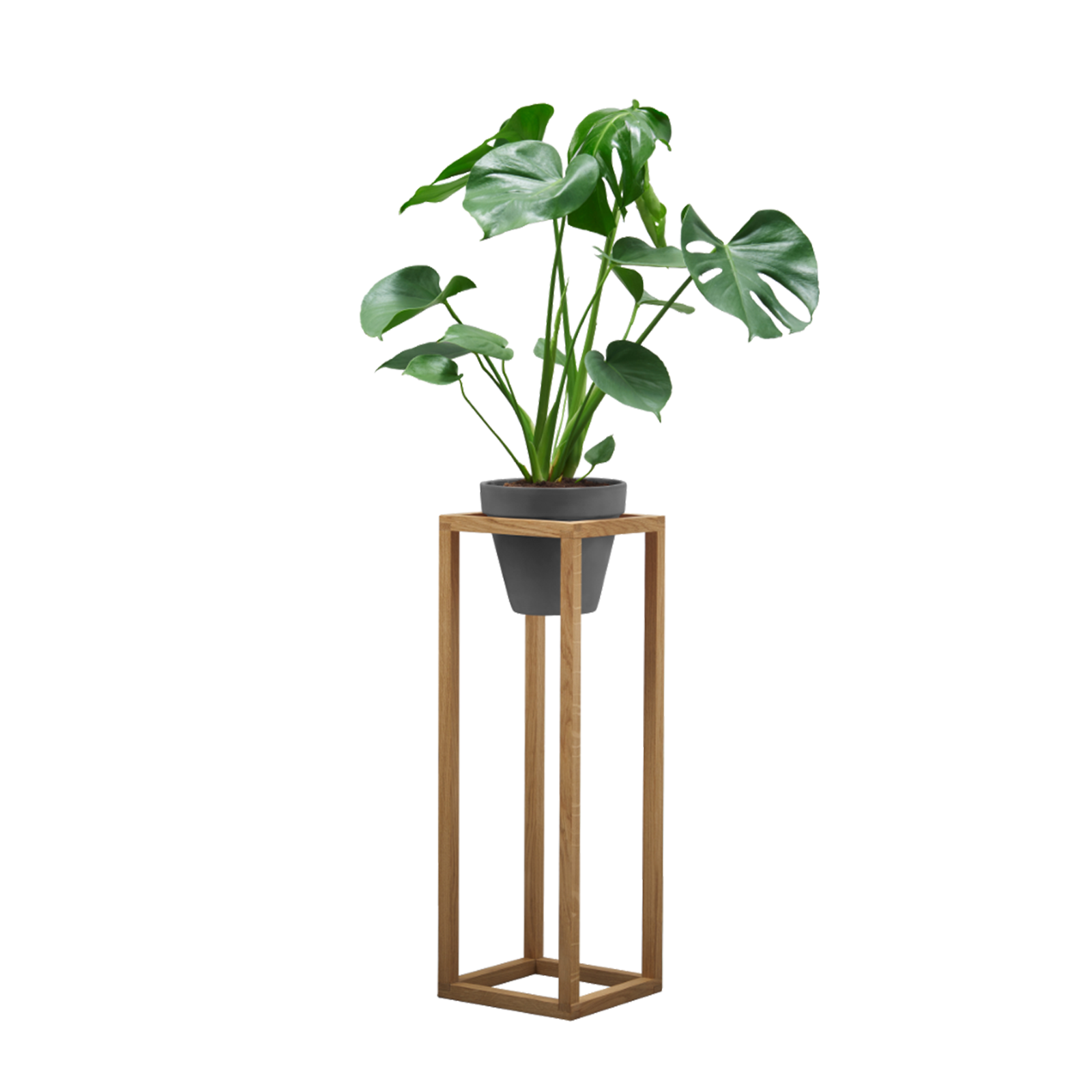 Køb Planteopsats/Hylde – Wood-Up 65 cm (Egetræ)