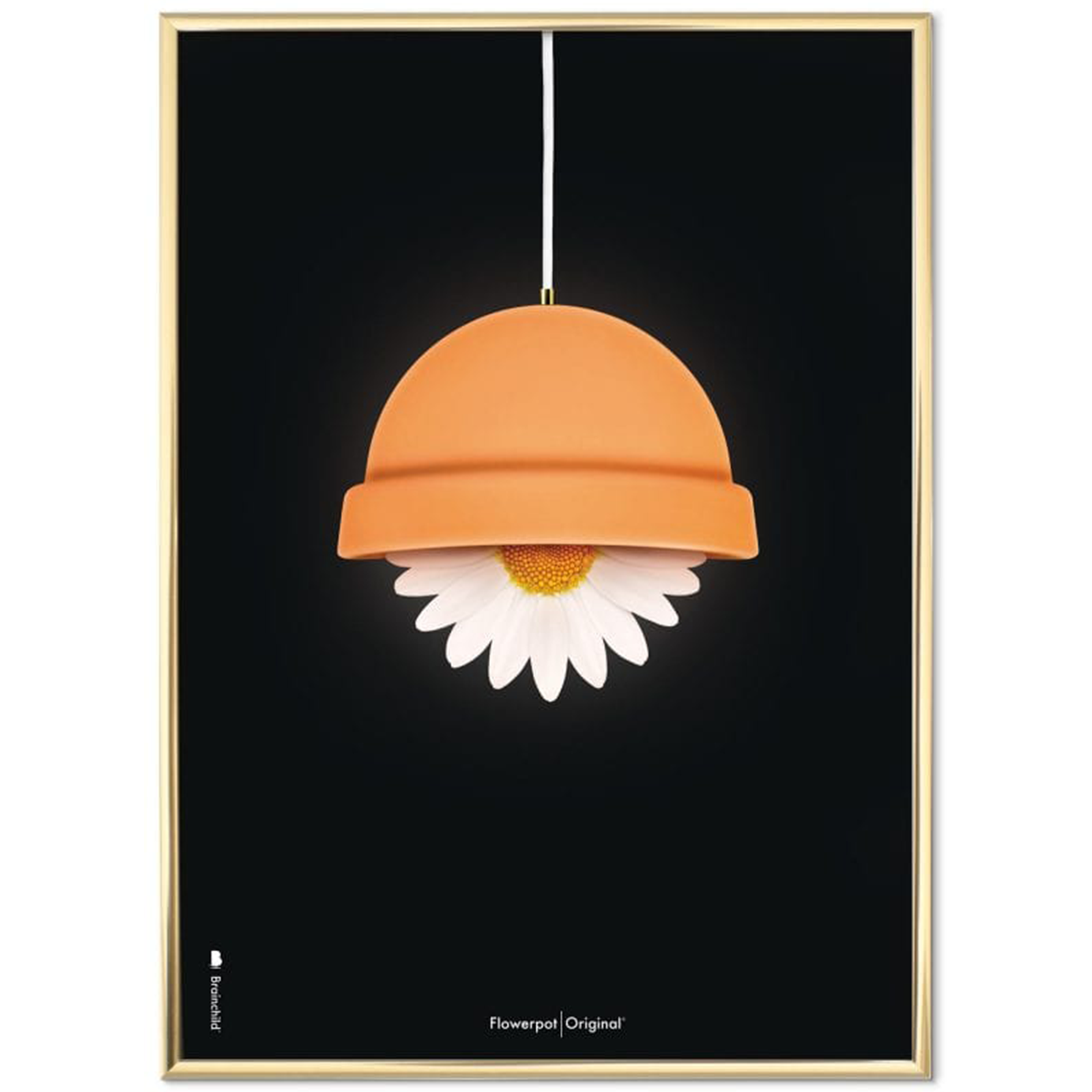 Billede af Plakat med Flowerpot - 50 x 70 cm