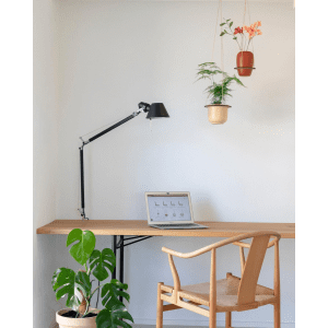 Leerbaek - birk small - birk large - planteophaeng - planteholder - dansk design - stue - modernhouse