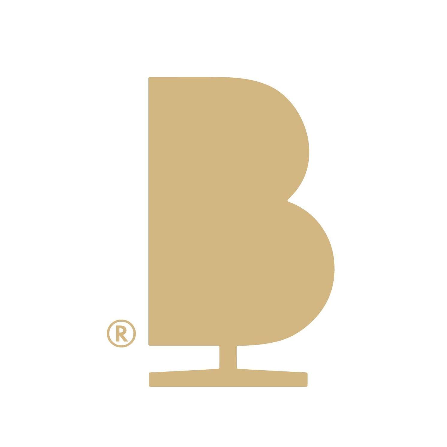 brainchild_logo