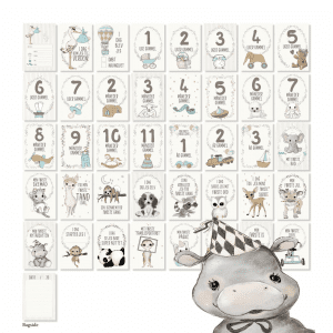 milestone baby kort - milestone kort - milestenskort - barselsgave - babyshower - mouse and pen - dansk design