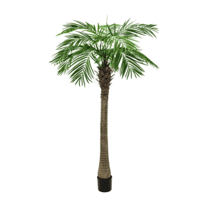 kunstig palme -Fonikspalmetrae Luxor, kunstig plante, 210cm