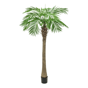 kunstige palmer - phonix