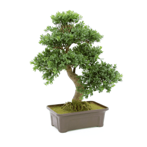 kunstige planter - kunstig bonsai - bonsai planter