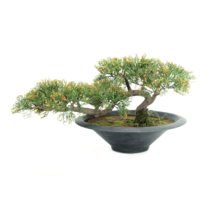 kunstige planter - kunstige traeer - Blyant Cedertrae, kunstig, 40cm